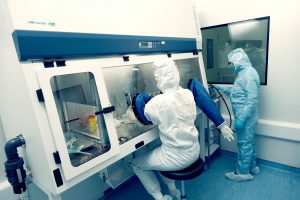 Stemmatters selecionada para o programa europeu SME Innovation Associate
