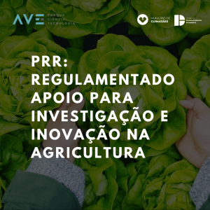PRR: Regulamentado apoio para investigação e inovação na agricultura