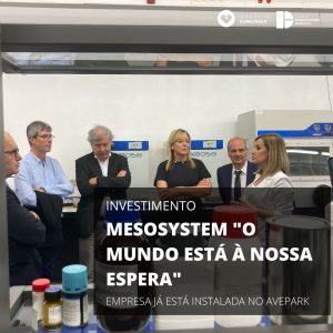 Mesosystem: “O Mundo está à nossa espera”